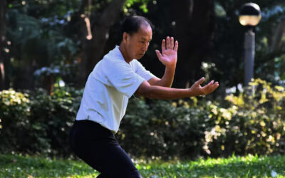 QI Gong Torino